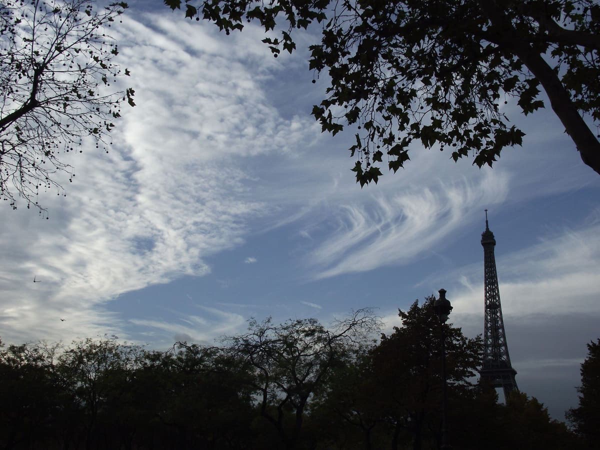The Eiffel Tower framed by tree branches against a blue sky